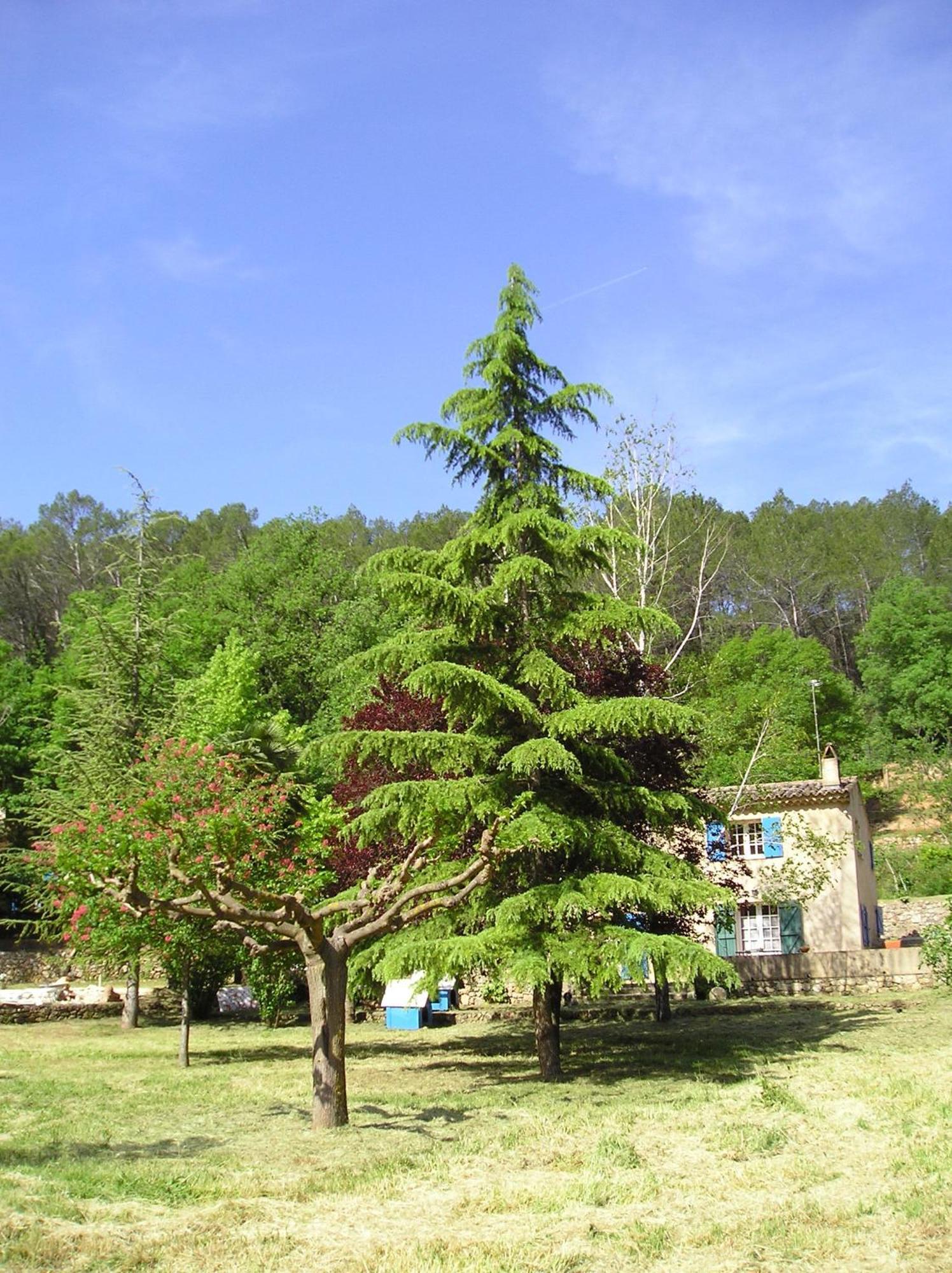 Villa Domaine De La Provenc'Ane Salernes Zimmer foto